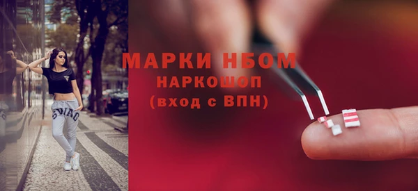 сатива Зерноград