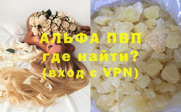 сатива Зерноград