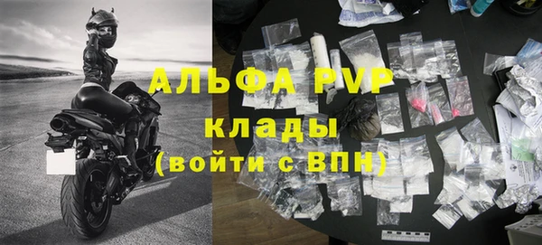 сатива Зерноград