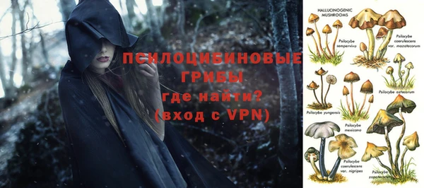 ALPHA-PVP Зеленодольск