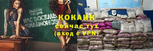 сатива Зерноград