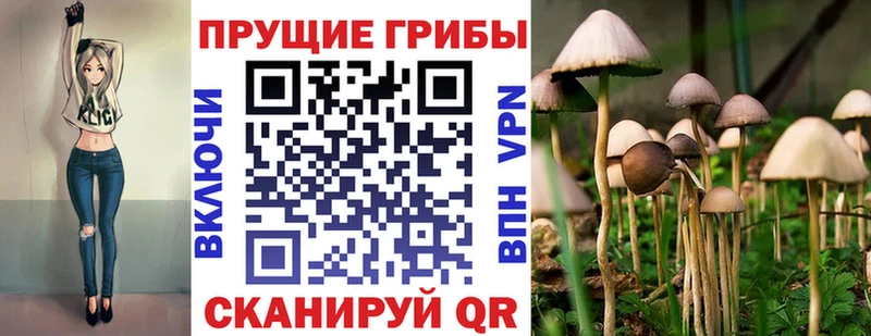 площадка состав  магазин    Игарка  Галлюциногенные грибы ЛСД 